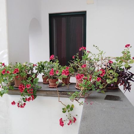 Apartament Casa De Angelis Orange & Blue Sant'Agnello Zewnętrze zdjęcie