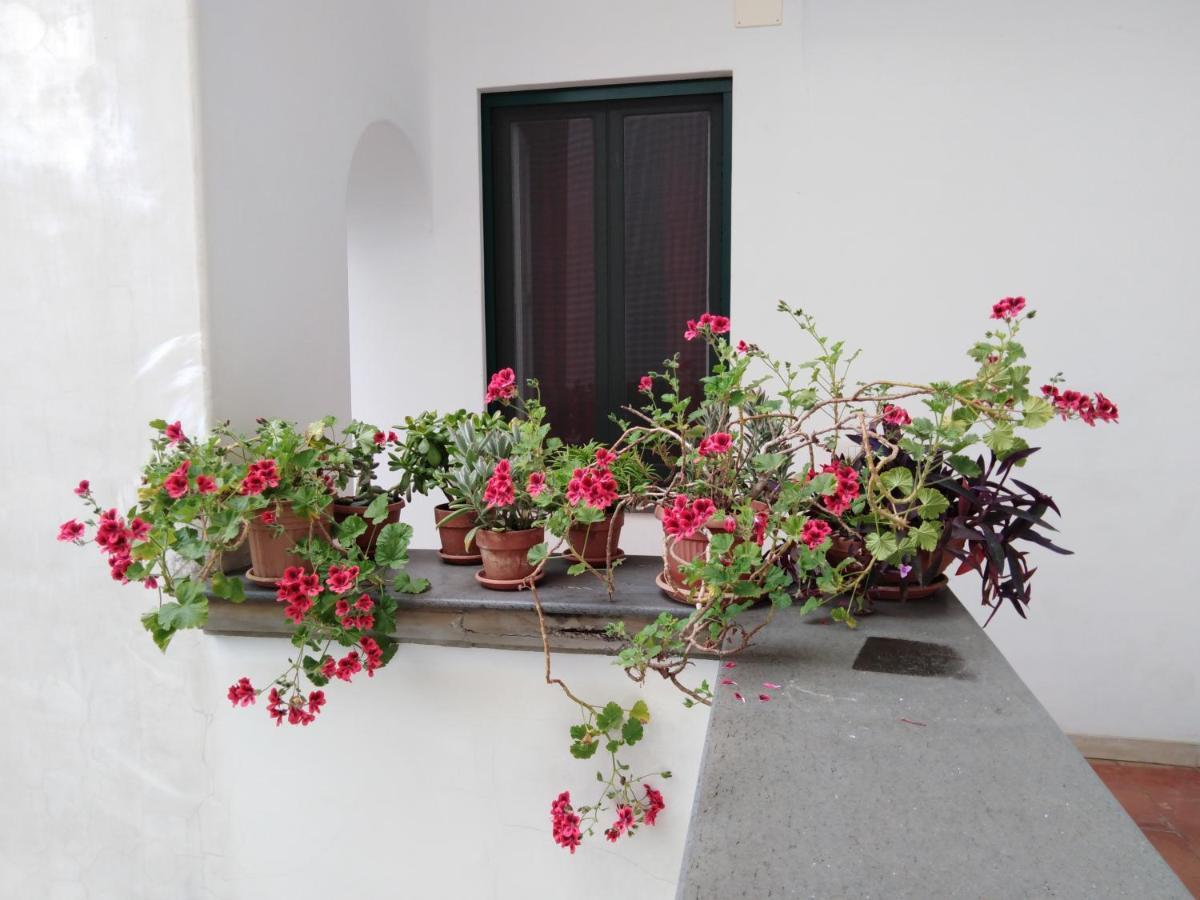 Apartament Casa De Angelis Orange & Blue Sant'Agnello Zewnętrze zdjęcie