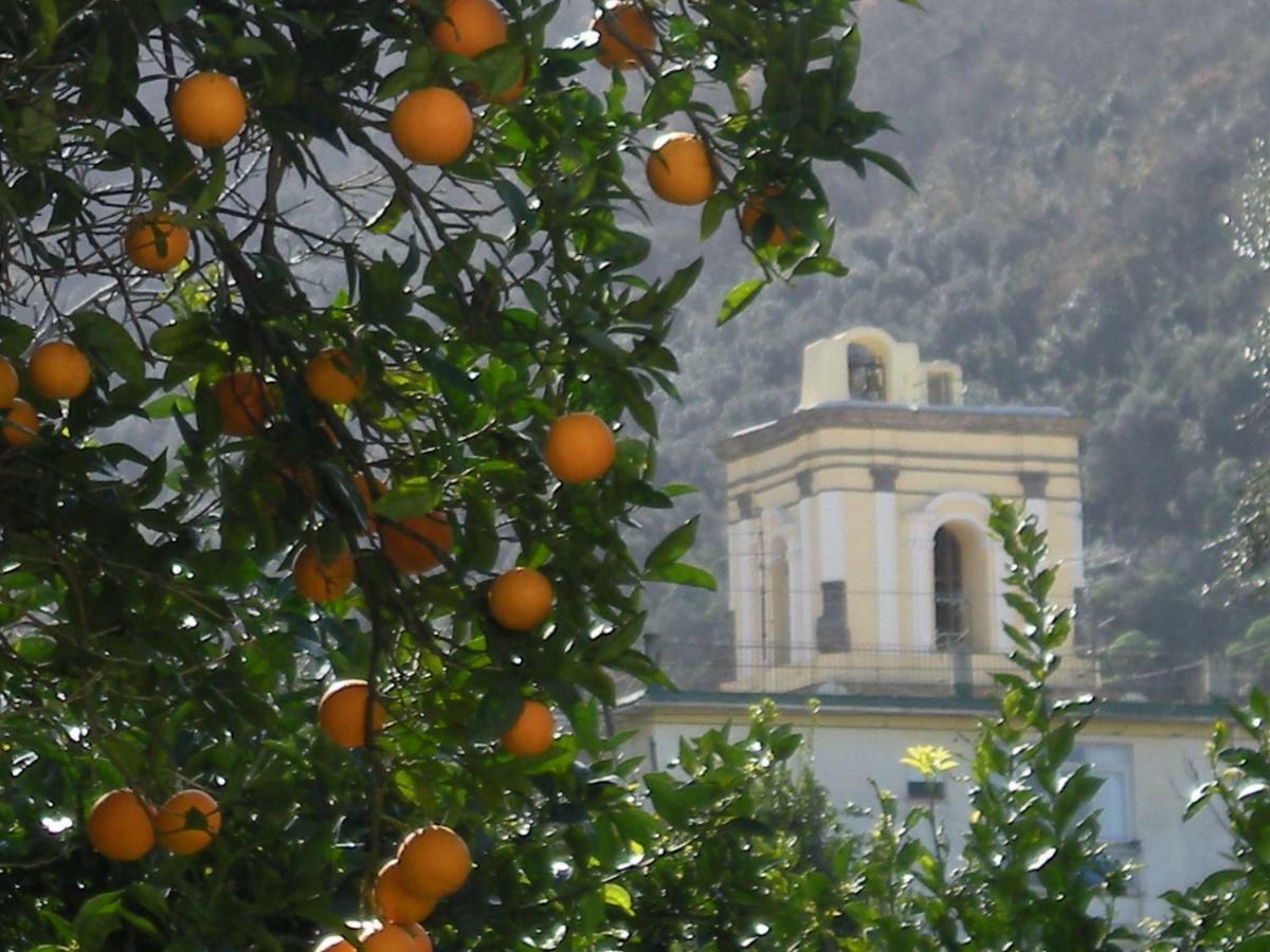 Apartament Casa De Angelis Orange & Blue Sant'Agnello Zewnętrze zdjęcie