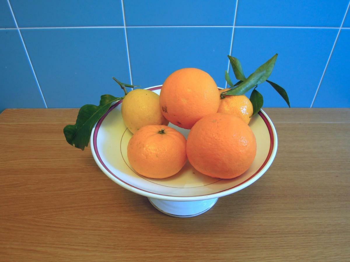 Apartament Casa De Angelis Orange & Blue Sant'Agnello Zewnętrze zdjęcie